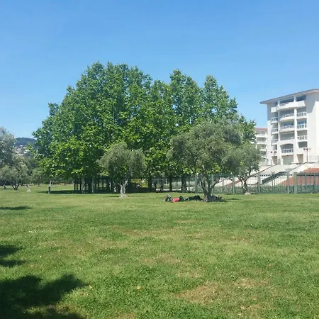 Domaine Flore Voilier