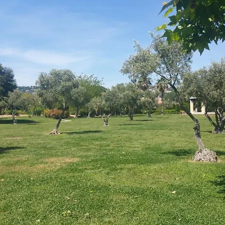 Domaine Flore Voilier *