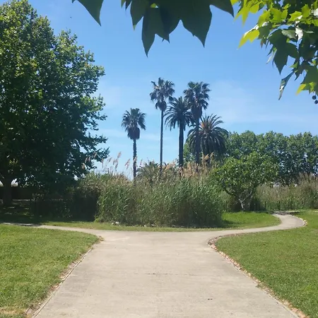 Domaine Flore Voilier جوان ليه باه